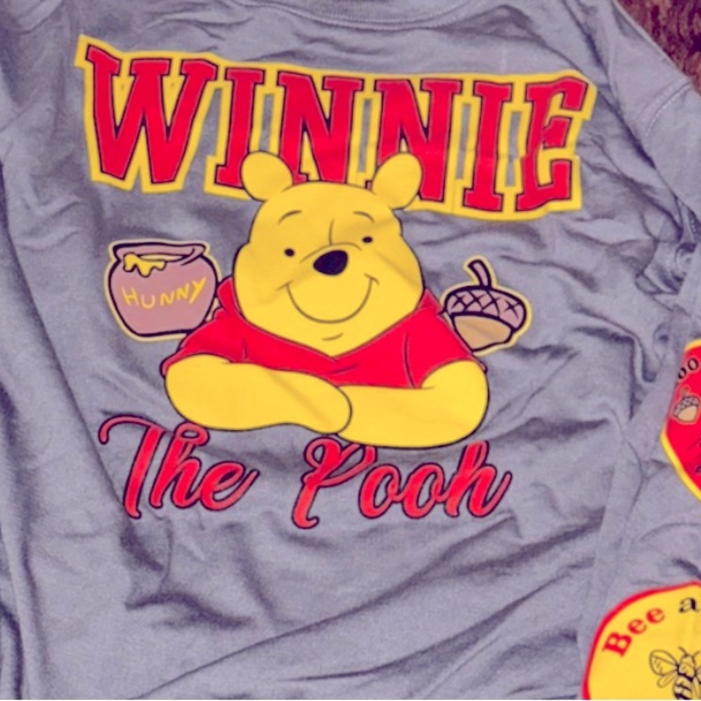 Winnie the Pooh,  …Disney Gray Sweatshirt with Red and Yellow Accents NWOT